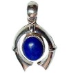 Dolphin design Pendant