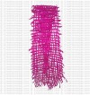 Felt scarf 2