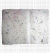 Floral sheet 04