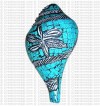 Turquoise conch