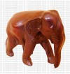 Walking elephant7