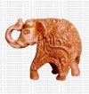 Small elephant