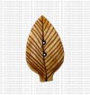 Leaf shape bone large button (packet of 10)