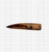 Tiger teeth shape shart button 2 (packet of 10)