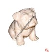 Bull dog