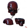 Skull design resin ashtray