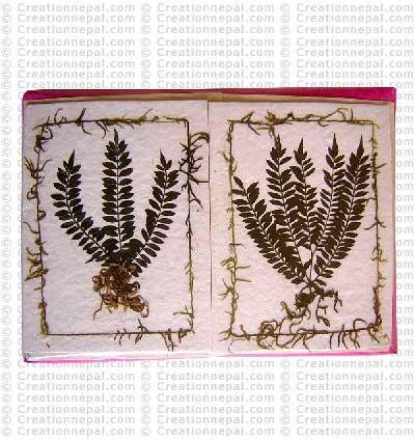 Plant design cards