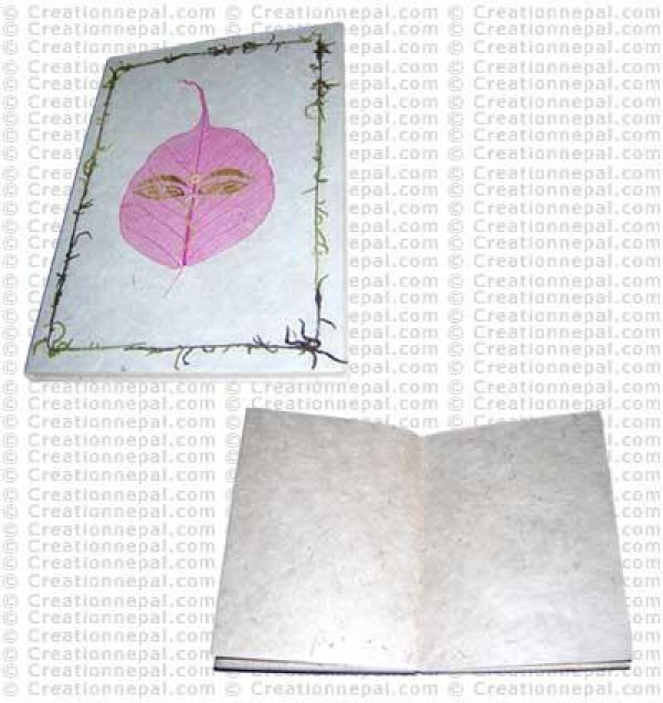 Buddha-Eye notebook 01