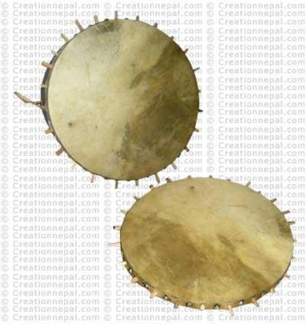 Khaijedi