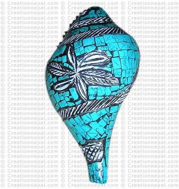 Turquoise conch