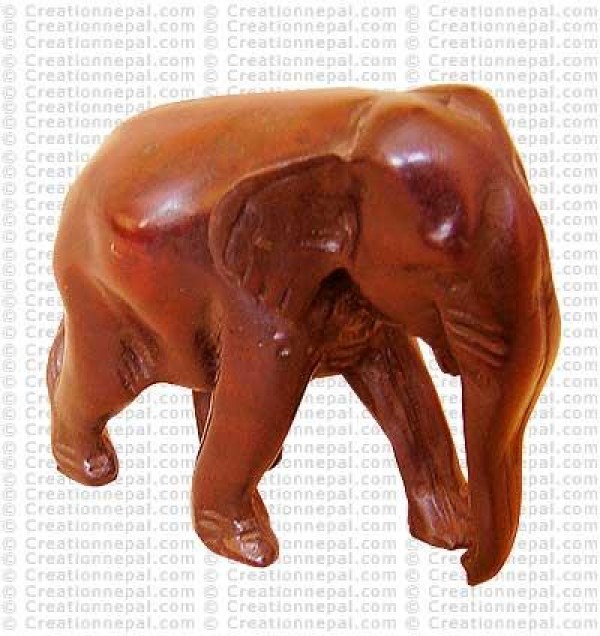 Walking elephant7