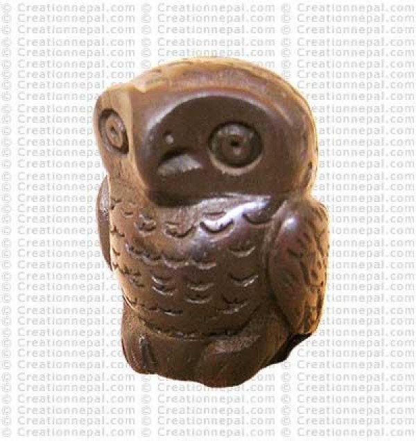 Owl5