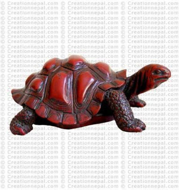 Largel tortoise