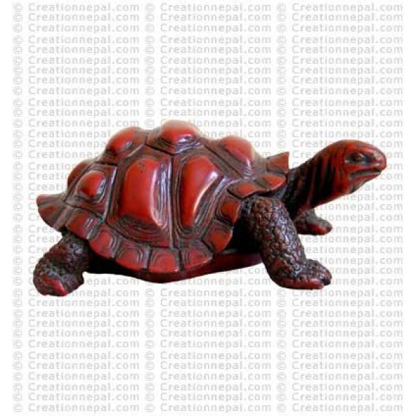 Largel tortoise