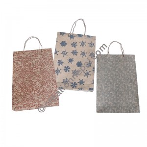 Printed Lokta vertical regular bag