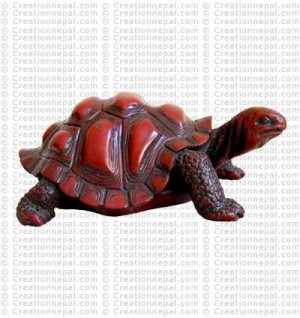 Largel tortoise