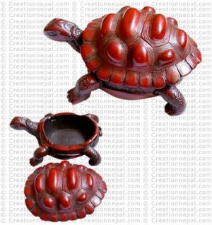 Extra large tortoise