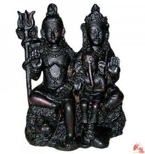 Shiva family