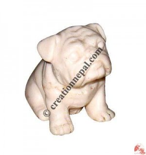 Bull dog