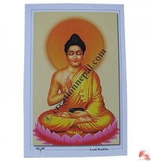 Postcard 25 (packet of 10)
