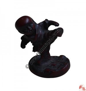 Kung-Fu baby