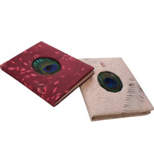 Peacock feather small notebook