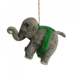 Young elephant