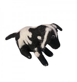 Black and white dog