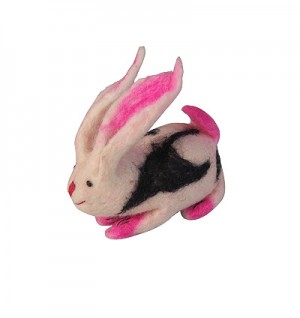 Small size BW rabbit
