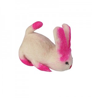 Tiny size white rabbit
