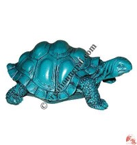 Turquoise Medium tortoise