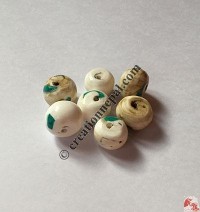Conch beads