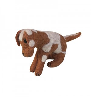 Brown and white dog