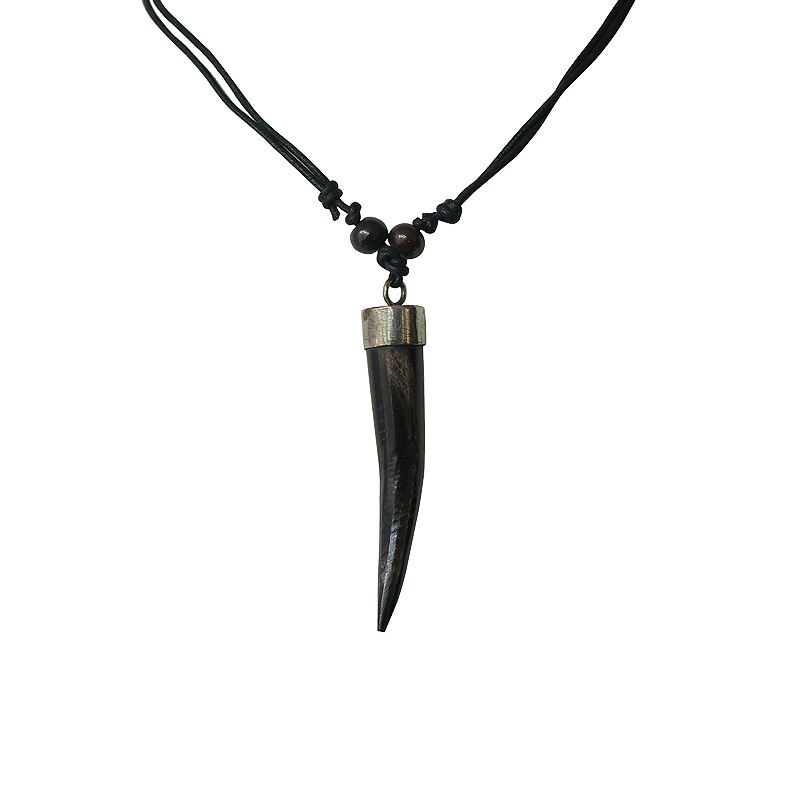 Tiger on sale teeth necklace